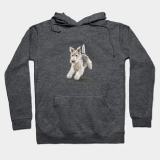 The Fox Terrier Hoodie